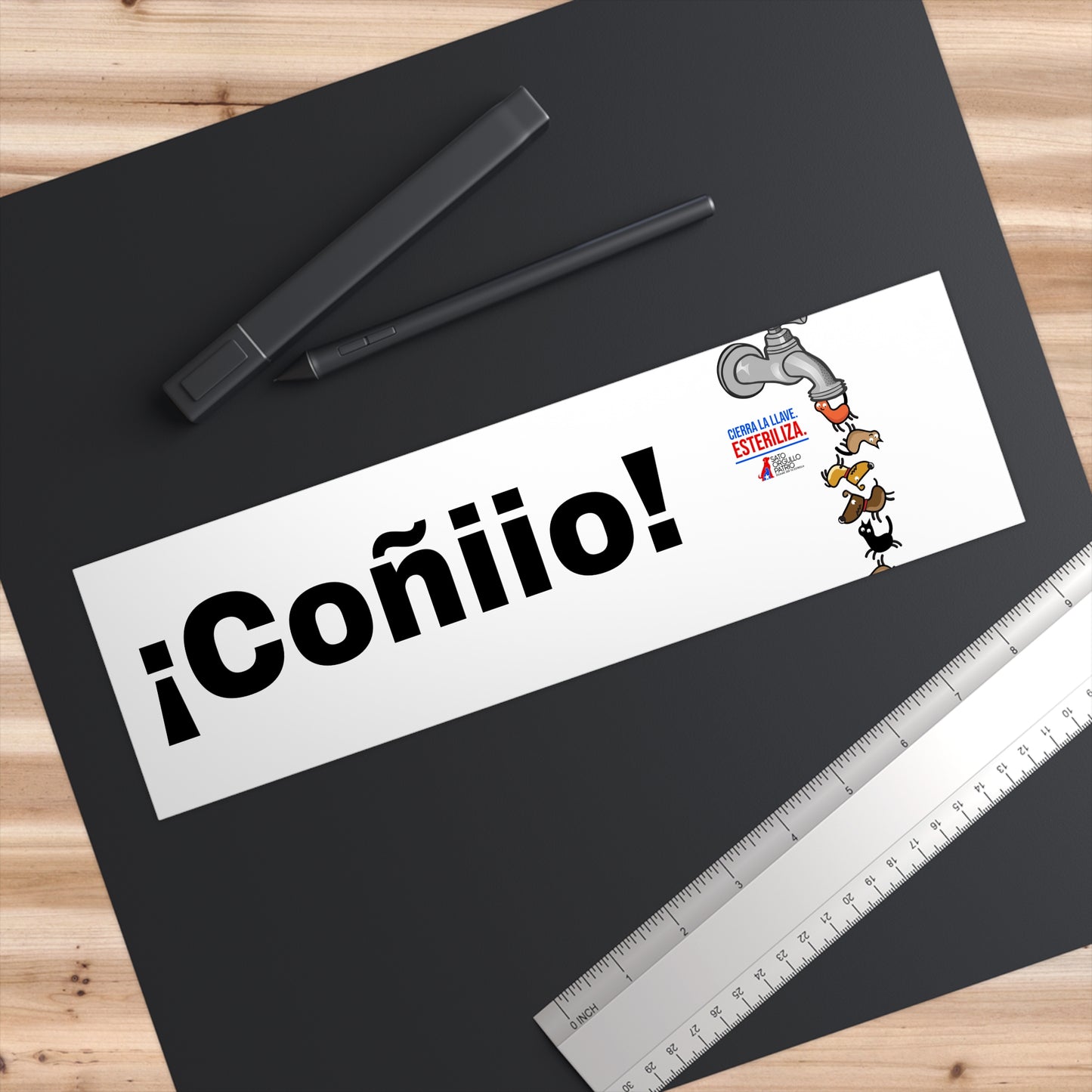 Bumper Stickers Coñioo