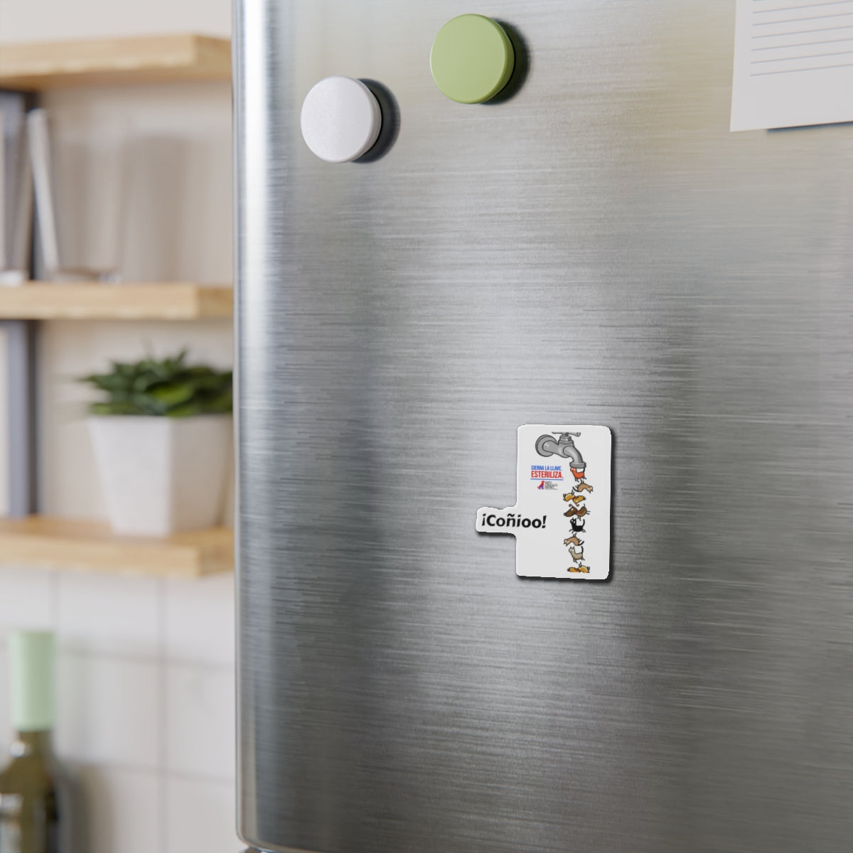 Die-Cut Magnets