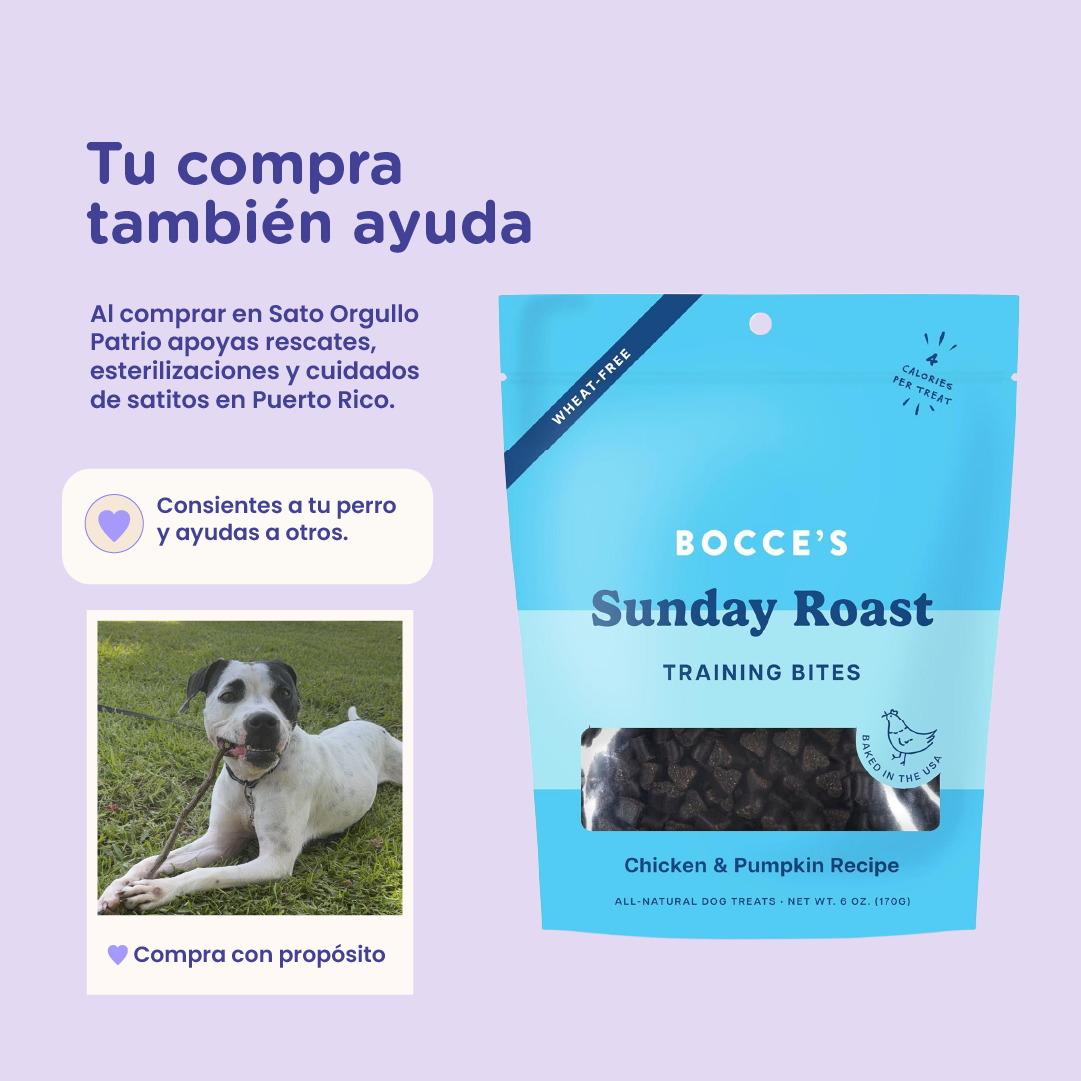 Bocce's Bakery Chicken & Pumpkin Sunday Roast Training Treats for Dogs 6 oz