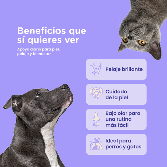 Paramount Pet Health Omega-3 Fish Oil Supplement for Dogs & Cats