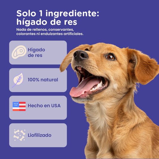 PureBites Beef Liver Freeze-Dried Dog Treats — Single Ingredient