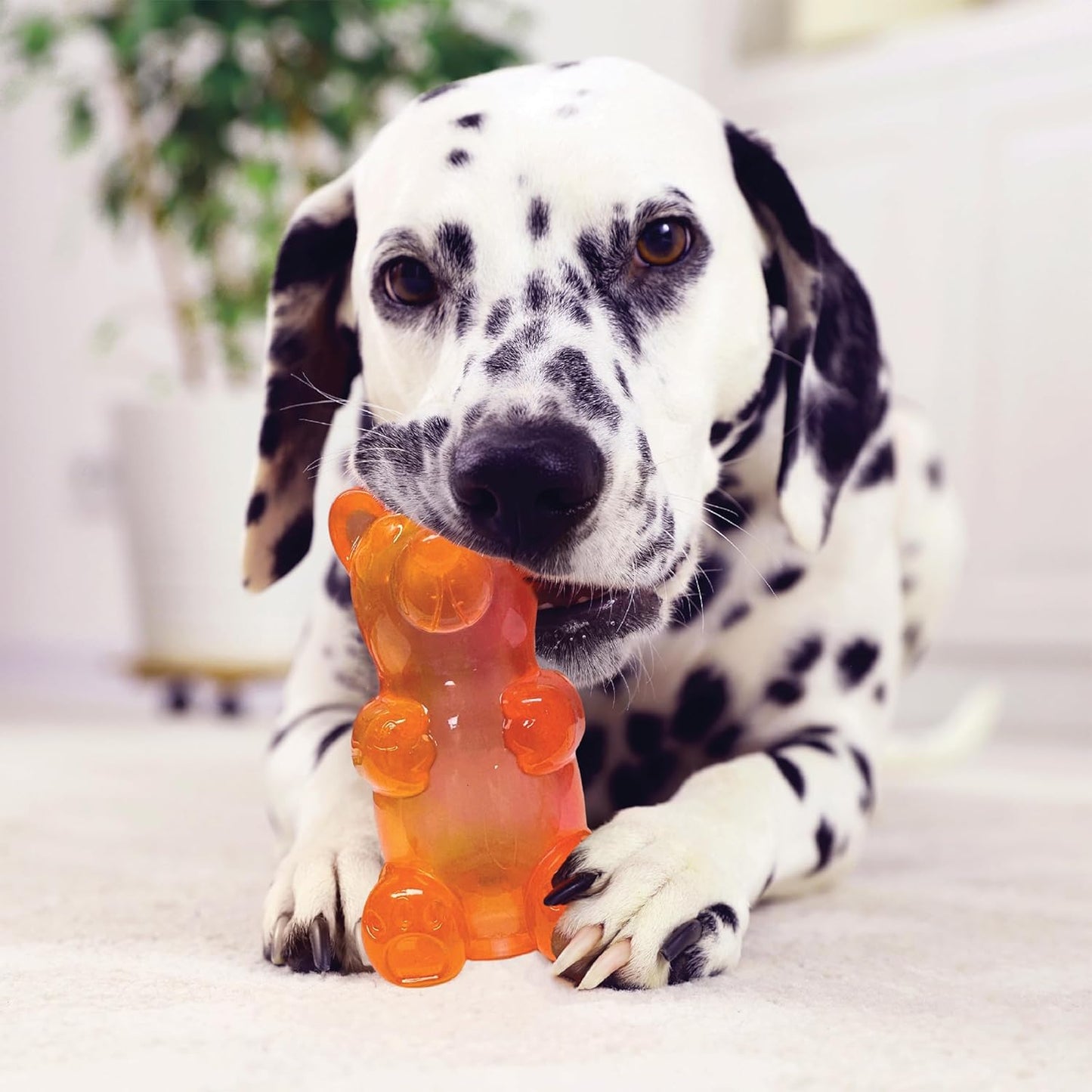 Spunky Pup Spunky Gummy Bear Interactive Squeaky Dog Toys, Medium