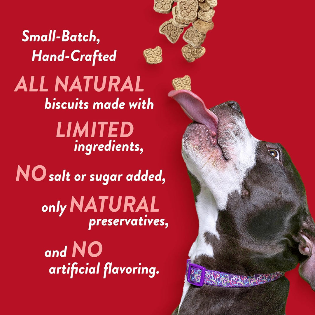 Spunky Pup Crunchy Biscuit Dog Treats — 10 oz