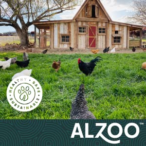 ALZOO My Fresh Coop Chicken Coop Deodorizer — Evergreen, 26 oz