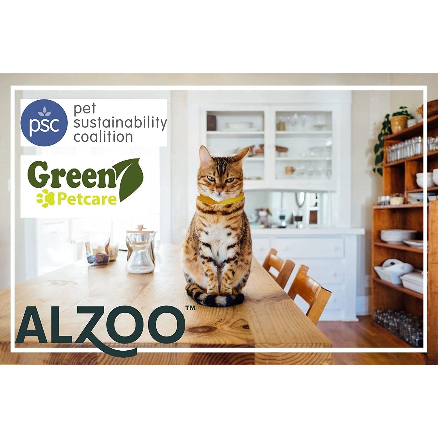 ALZOO Natural Flea & Tick Cat Collar