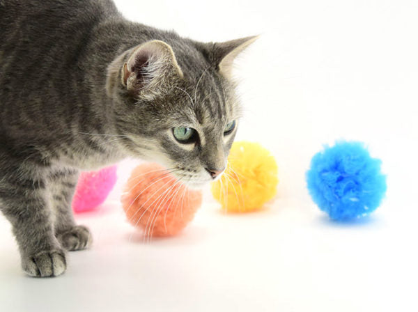 Go Cat Bat Arounds Fur Balls Cat Toy
