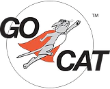 Go Cat Da Fish Teaser Wand Cat Toy