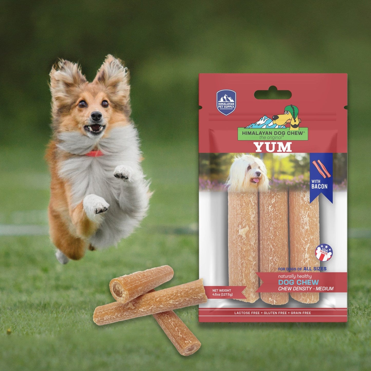 Himalayan Pet Supply yakyYum Himalaya  | Bacon Flavor
