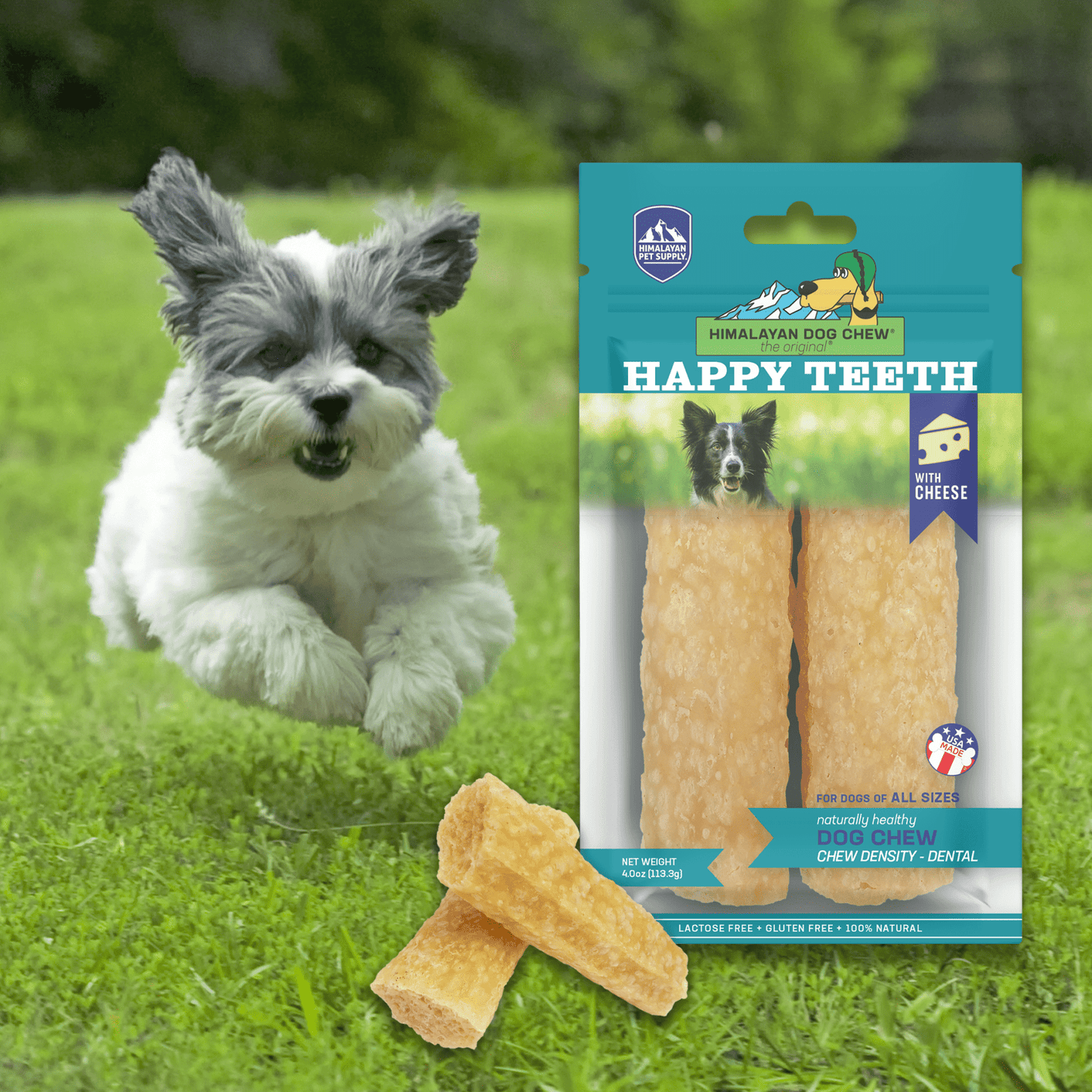 Himalayan Pet Supply Dental Dog Chew | Happy Teeth Natural Cheese Dog Chews