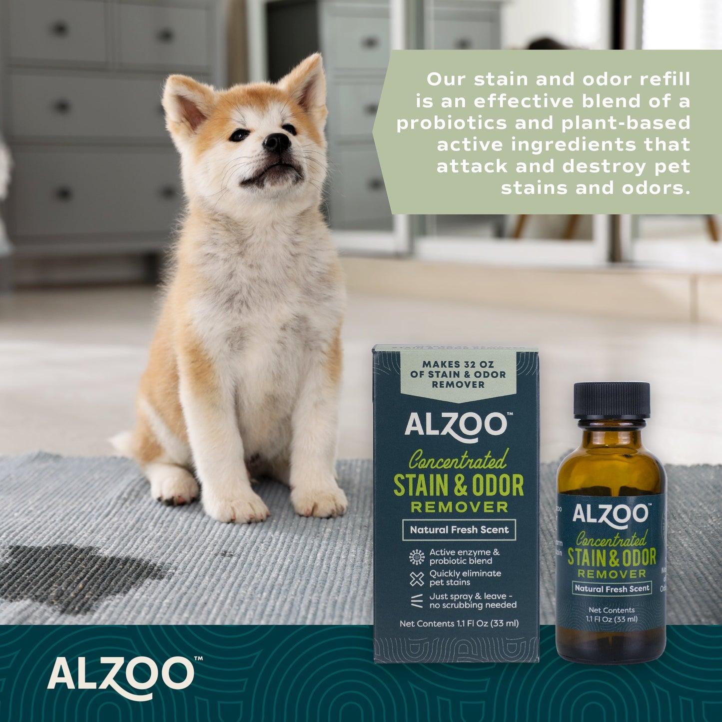 ALZOO Concentrated Enzyme-Based Sustainable Stain & Odor Remover Liquid Refill 1.1 oz