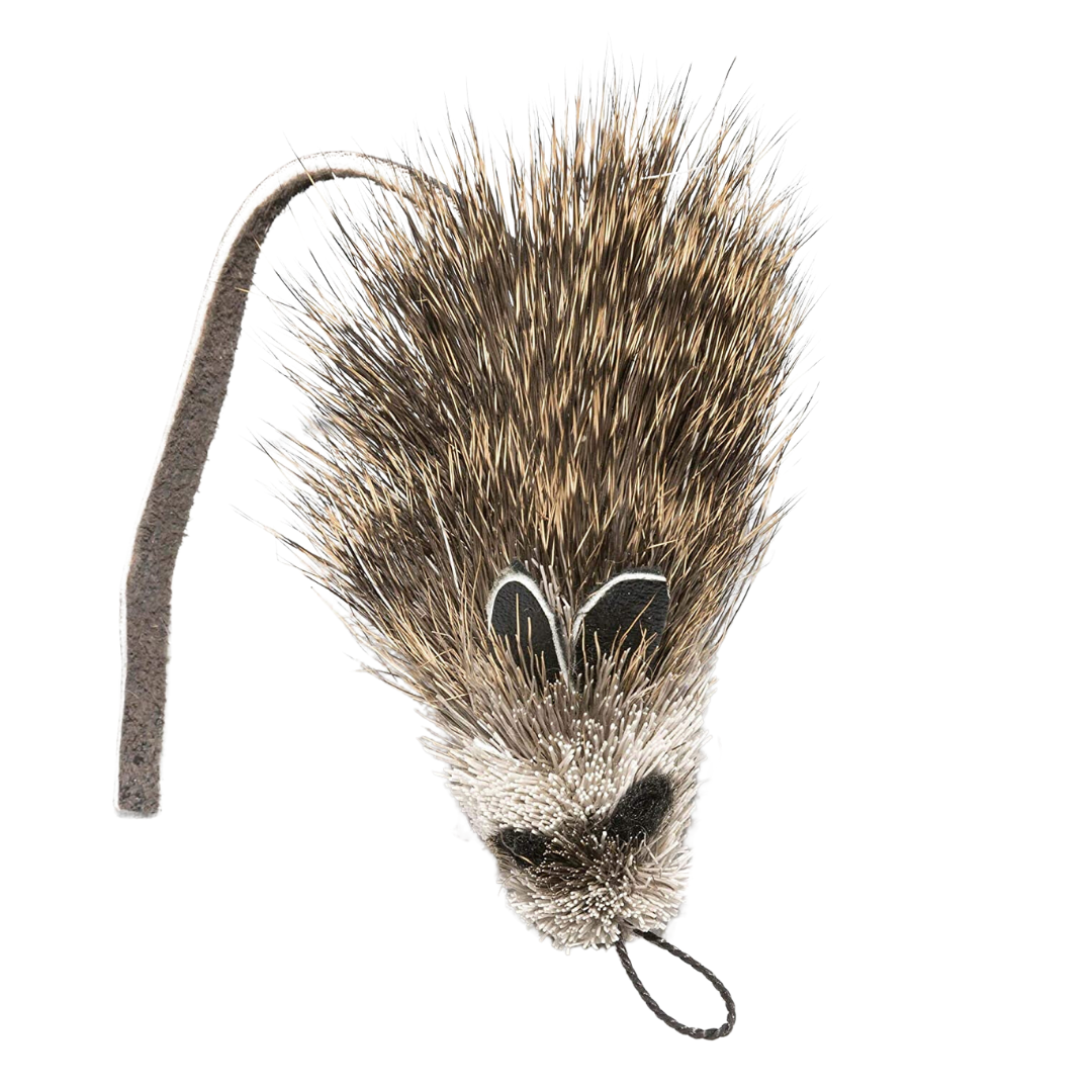 Go clearance cat refills