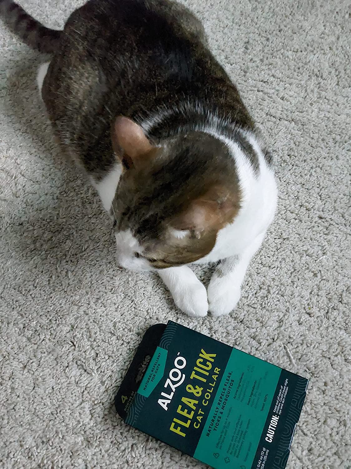 ALZOO Natural Flea & Tick Collar for Cats