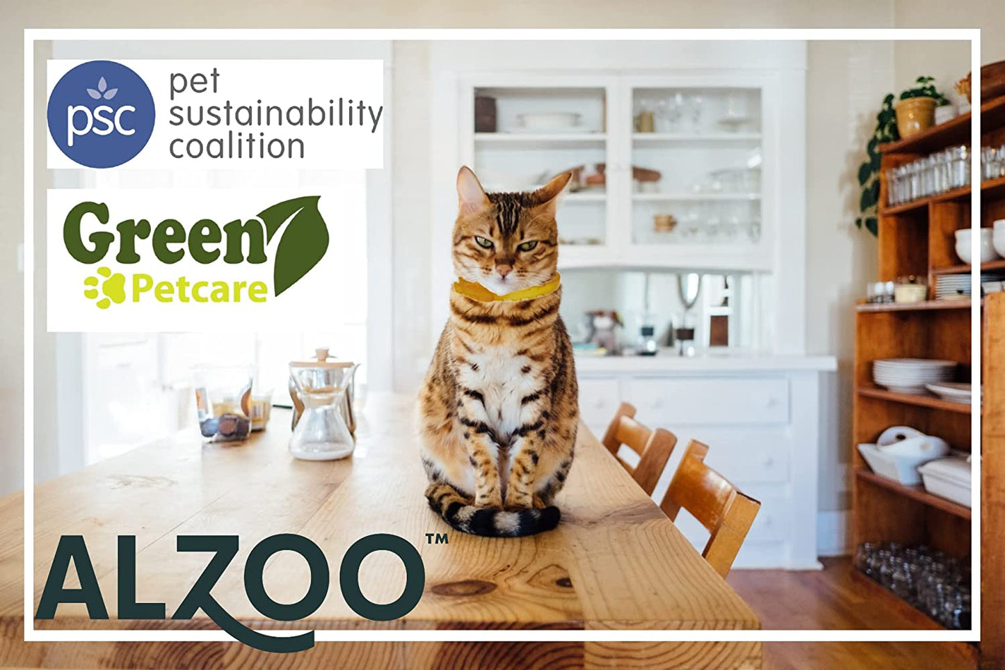 ALZOO Natural Flea & Tick Collar for Cats