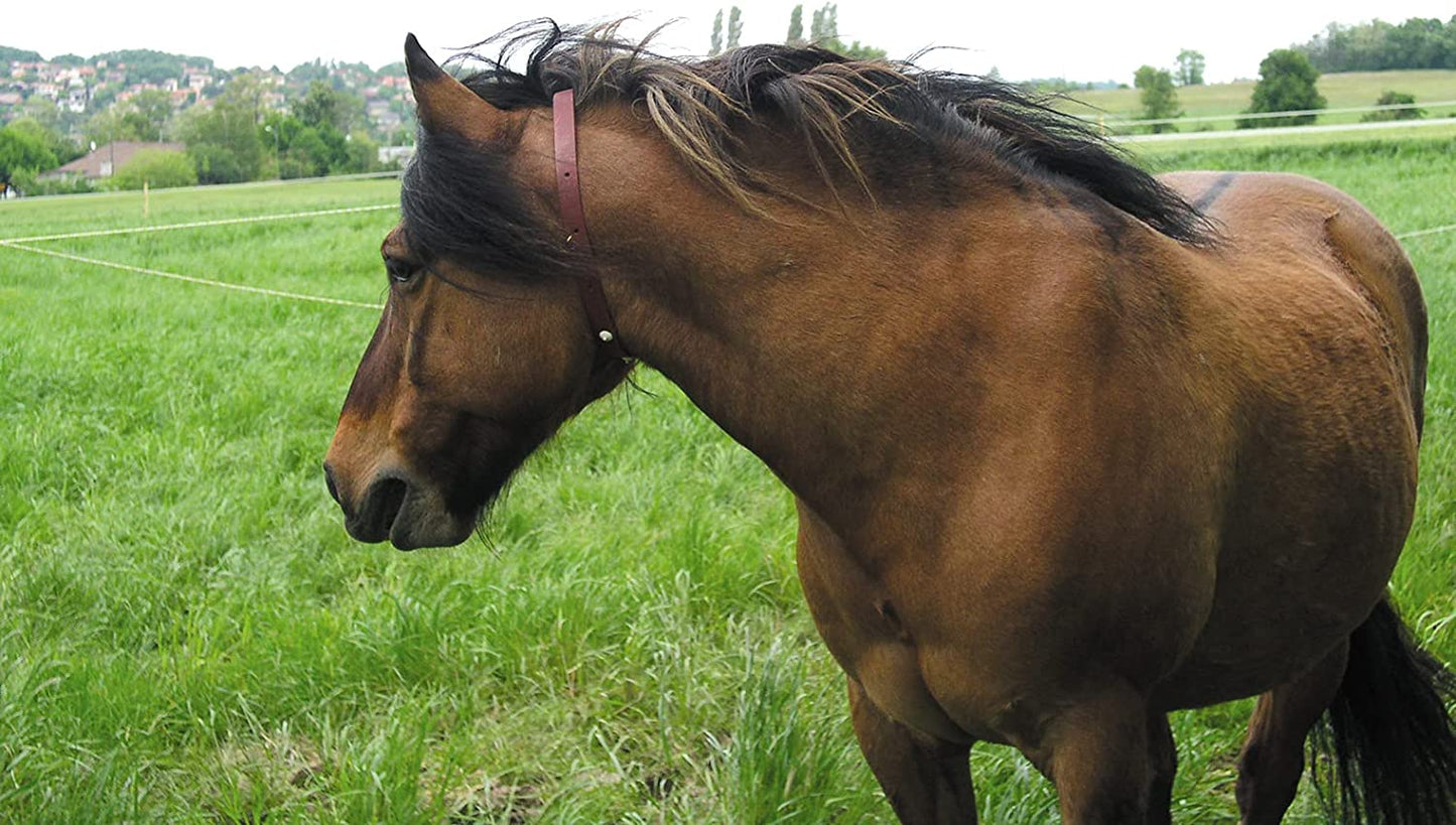 ALZOO Natural Herbal Fly Collar for Horses
