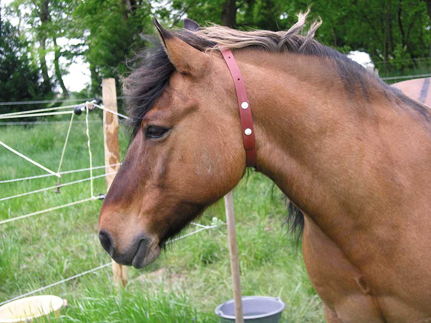 ALZOO Natural Herbal Fly Collar for Horses