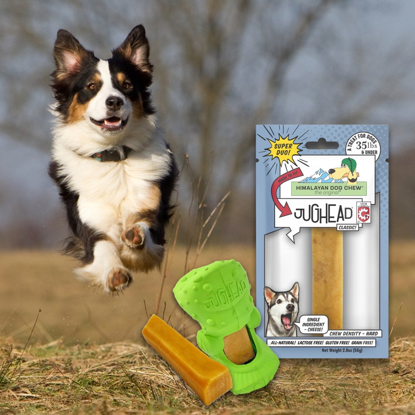 Himalayan Pet Supply Jughead Classic Cheese Chew Insert  Small