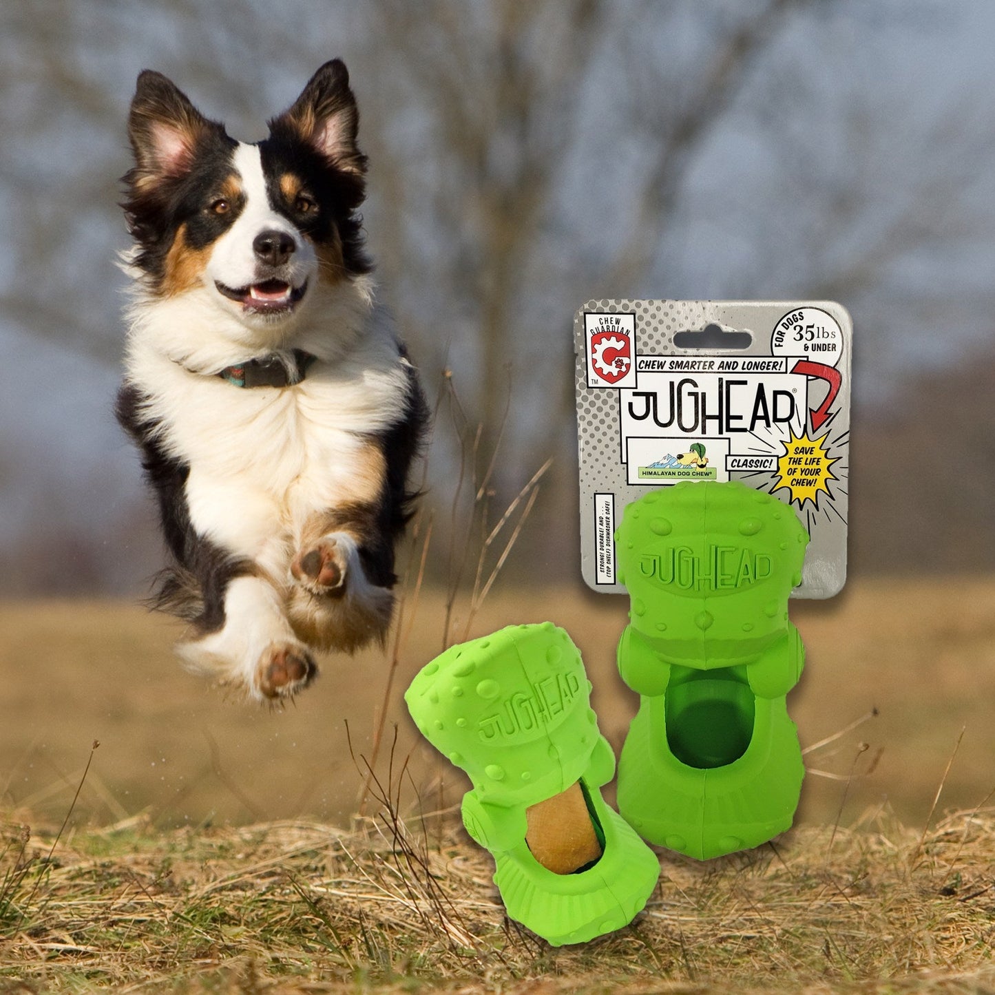 Himalayan Pet Supply Jughead Classic, Insert Chews, Lime Green, Small