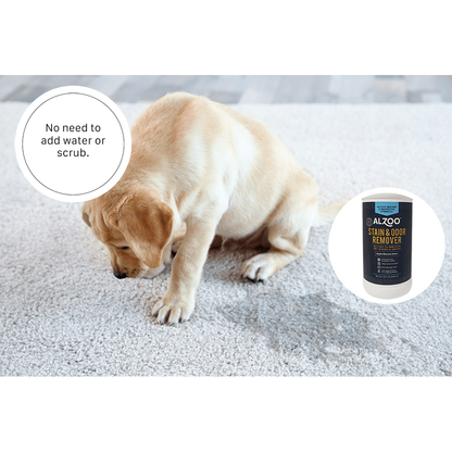ALZOO Stain & Odor Remover Spray — Citrus Vanilla