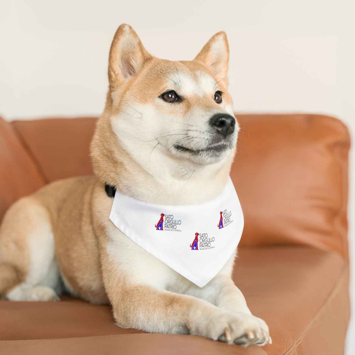 Sato Orgullo Patrio - Bandana para mascotas