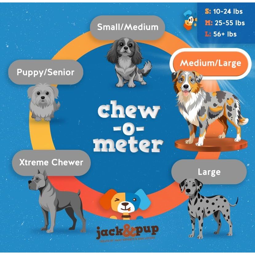 Jack & Pup 12" Thick Bully Sticks for Dogs — 3 Pack
