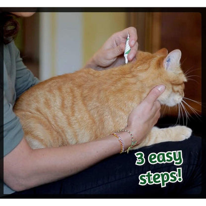 ALZOO Natural Flea & Tick Squeeze-On for Cats — 3 Pack