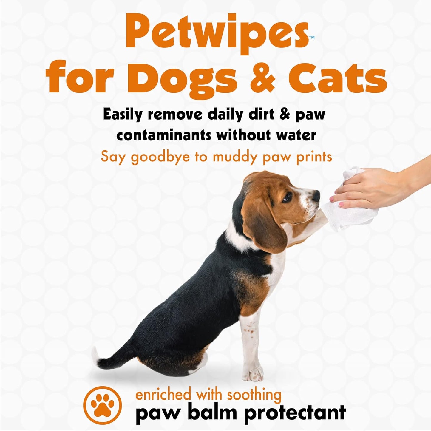 Petkin Big N' Thick Paw Wipes for Dogs 100 ct