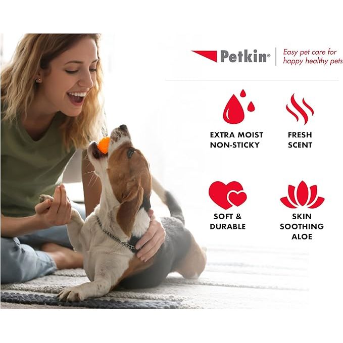 Petkin Germ Removal Travel Wipes for Pets — 10 Pack