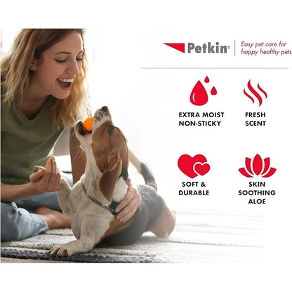 Petkin Germ Removal Travel Wipes for Pets — 10 Pack