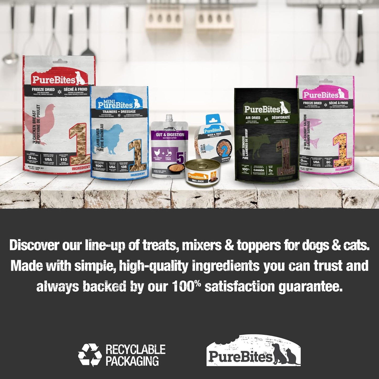 PureBites Freeze-Dried Salmon Dog Treats — Single Ingredient
