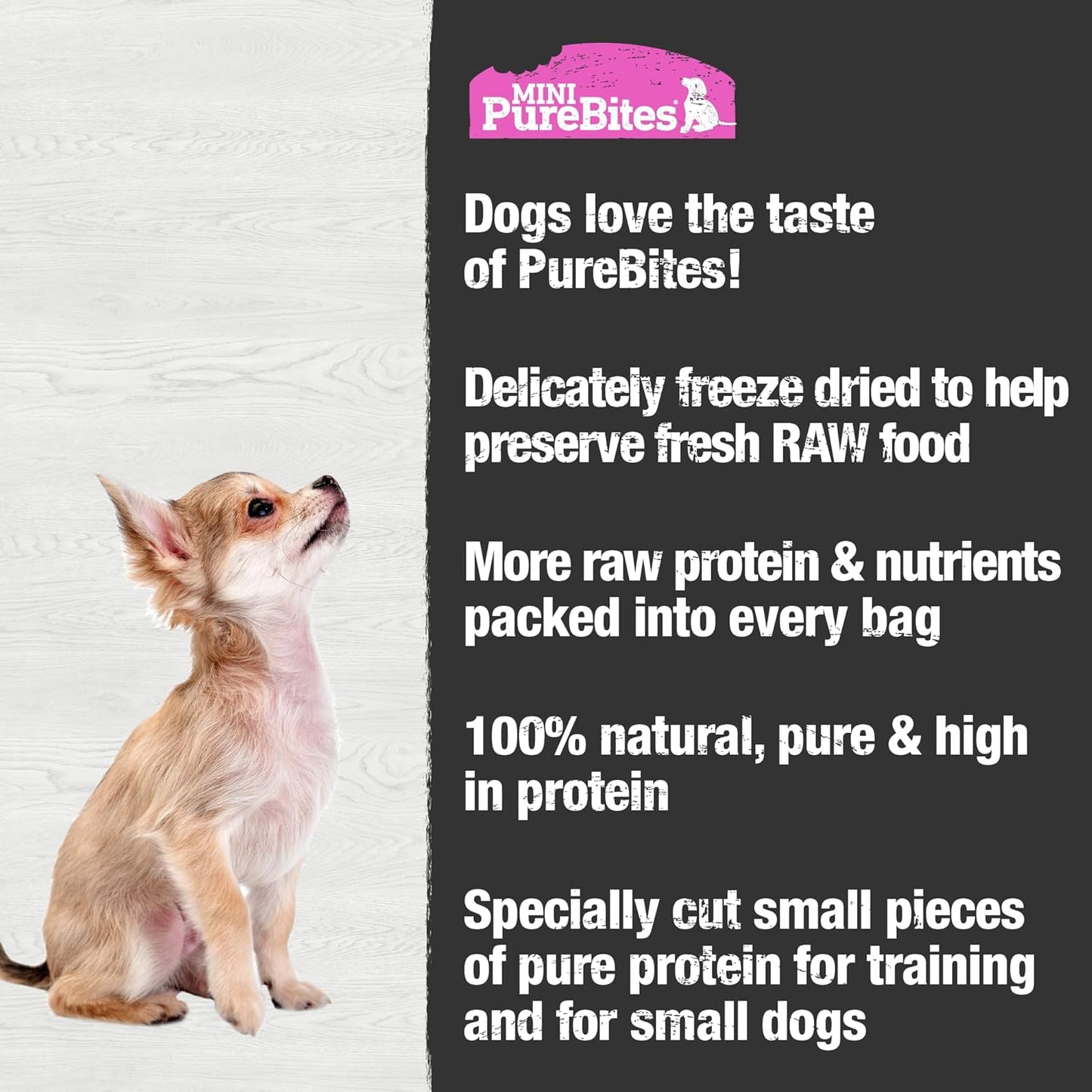 Mini PureBites Salmon Freeze-Dried Trainer Dog Treats — 1.7 oz
