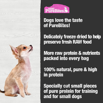 Mini PureBites Salmon Freeze-Dried Trainer Dog Treats — 1.7 oz