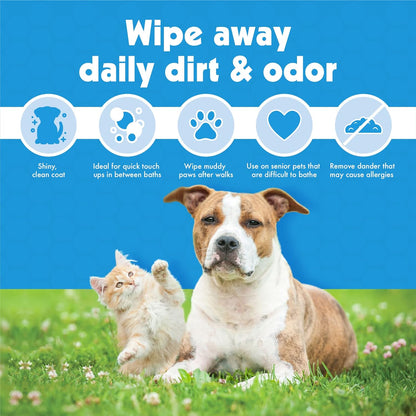 Petkin Big N' Thick Pet Wipes for Dogs & Cats — 100 ct