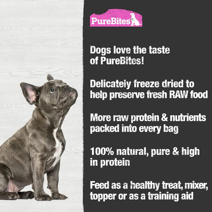 PureBites Freeze-Dried Salmon Dog Treats — Single Ingredient