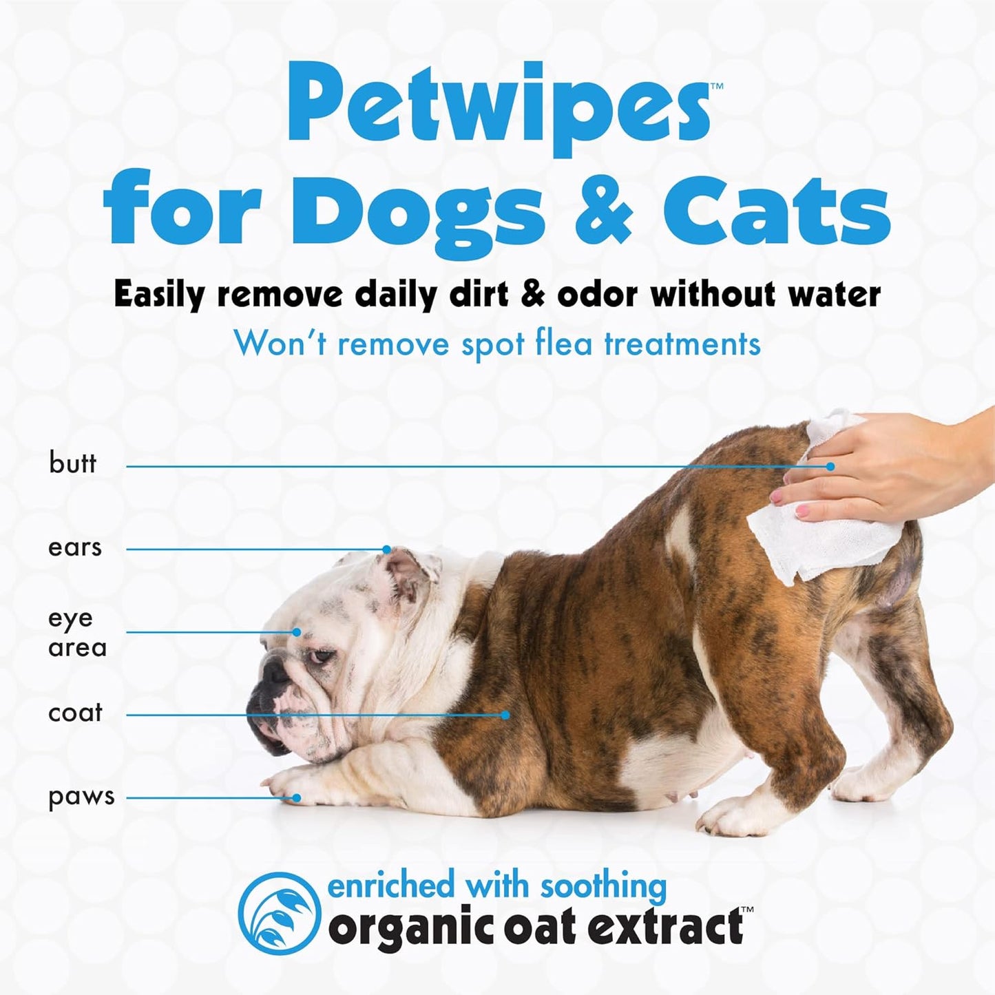Petkin Big N' Thick Pet Wipes for Dogs & Cats — 100 ct