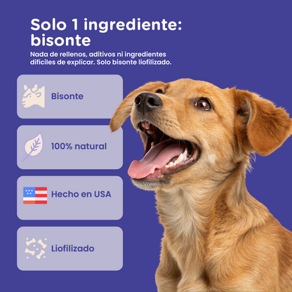 PureBites Wild Bison Freeze-Dried Dog Treats — Single Ingredient, 2.1 oz