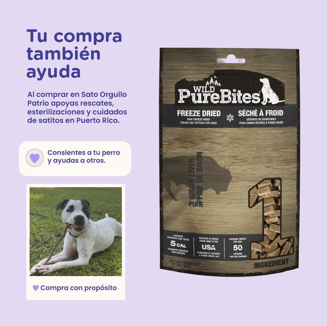 PureBites Wild Bison Freeze-Dried Dog Treats — Single Ingredient, 2.1 oz