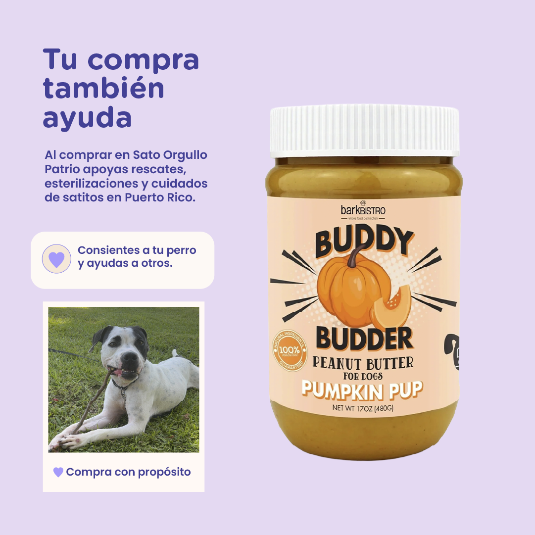 Bark Bistro Pumpkin Pup Buddy Budder 17oz jar