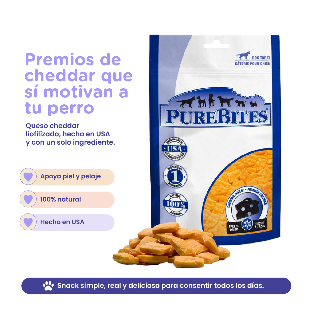 PureBites Cheddar Cheese Freeze-Dried Dog Treats — Single Ingredient