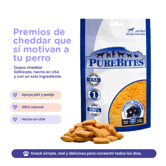 PureBites Cheddar Cheese Freeze-Dried Dog Treats — Single Ingredient