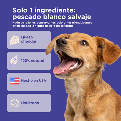 PureBites Cheddar Cheese Freeze-Dried Dog Treats — Single Ingredient