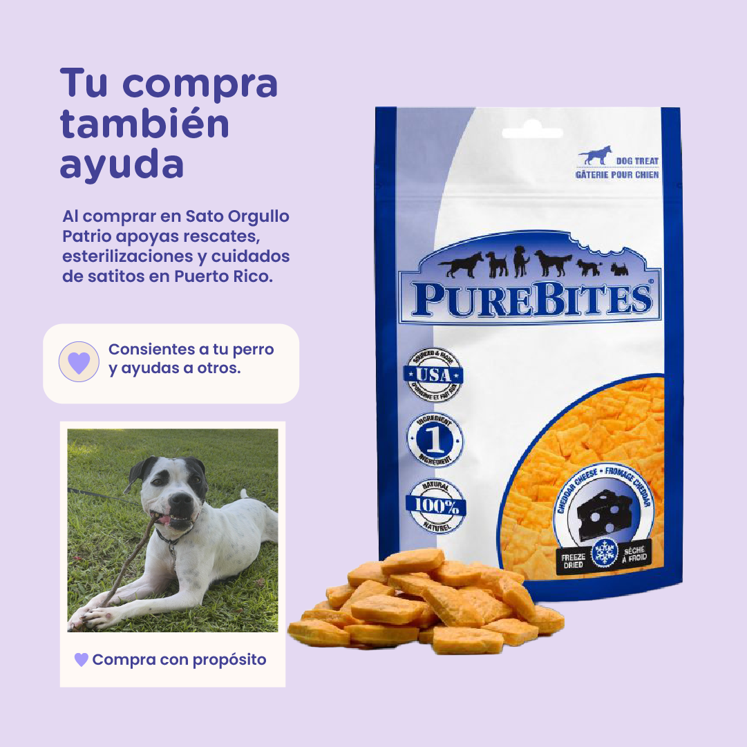 PureBites Cheddar Cheese Freeze-Dried Dog Treats — Single Ingredient