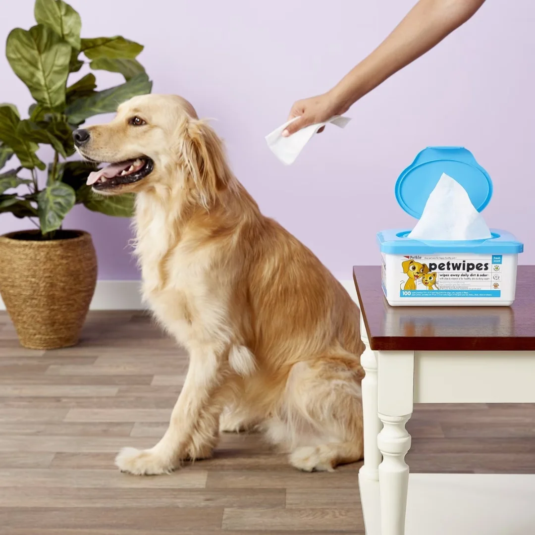 Petkin Petwipes for Dogs & Cats — 100 Count