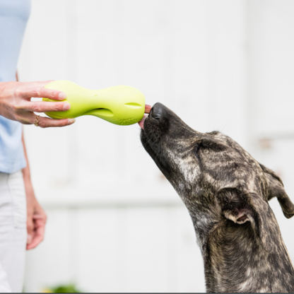 West Paw Zogoflex Qwizl Treat-Dispensing Chew Dog Toy — Large