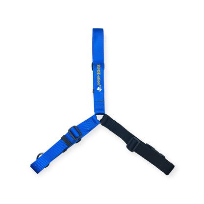 SENSE-ation No-Pull Dog Harness
