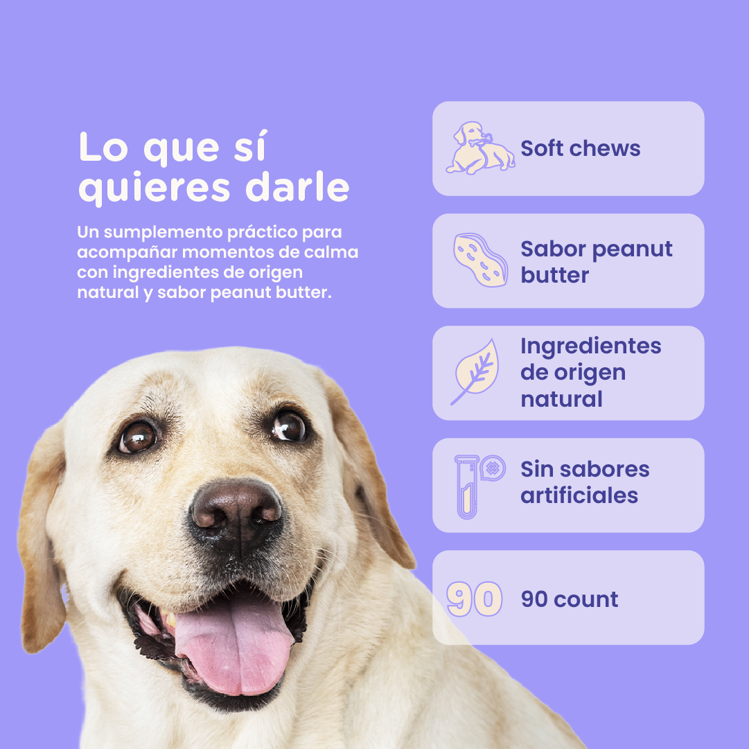 ALZOO Soft Chew Supplements for Dogs - 90 count