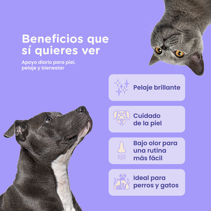 Paramount Pet Health Omega-3 Fish Oil Dog & Cat Supplement