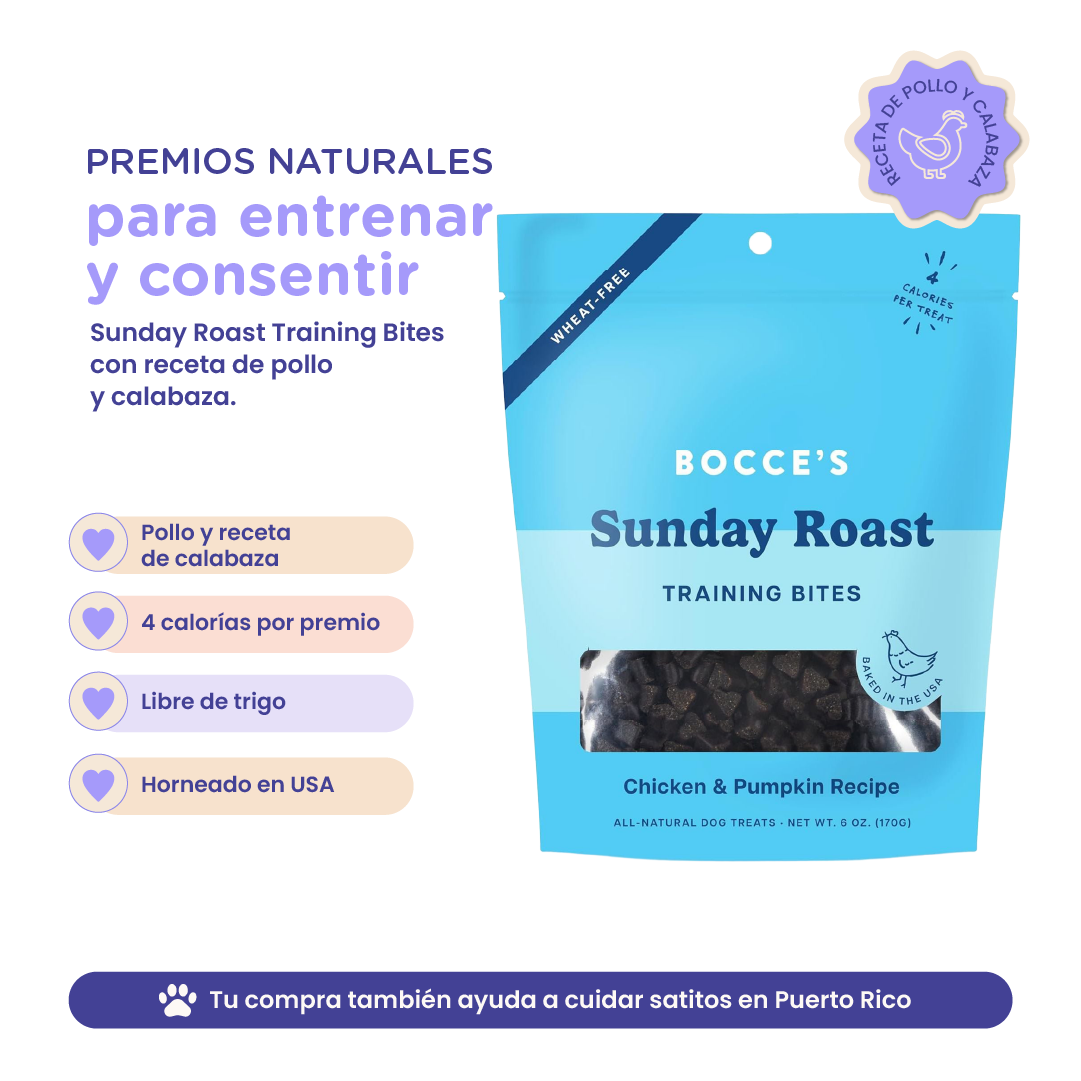 Bocce's Bakery Chicken & Pumpkin Sunday Roast Training Treats for Dogs 6 oz