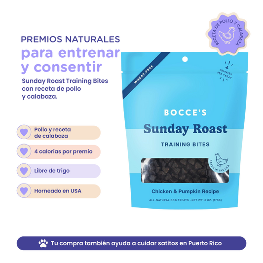 Bocce's Bakery Chicken & Pumpkin Sunday Roast Training Treats for Dogs 6 oz