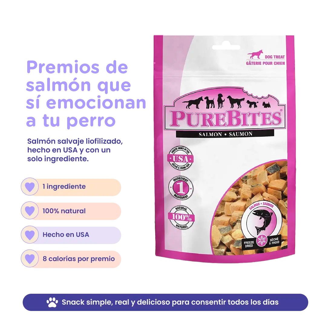 PureBites Freeze-Dried Salmon Dog Treats — Single Ingredient