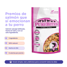 PureBites Freeze-Dried Salmon Dog Treats — Single Ingredient